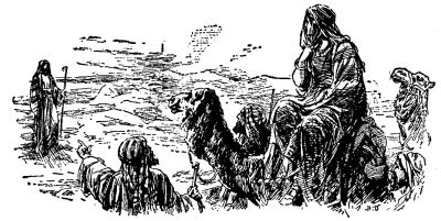 Back to the Land of Canaan Back to the Land of Canaan