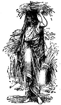 Ruth went out into the fields to glean the grain Ruth went out into the fields to glean the grain